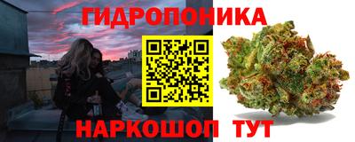 spice Рязань