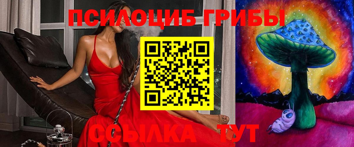 Москва  Галлюциногенные грибы GOLDEN TEACHER  Вход с VPN 